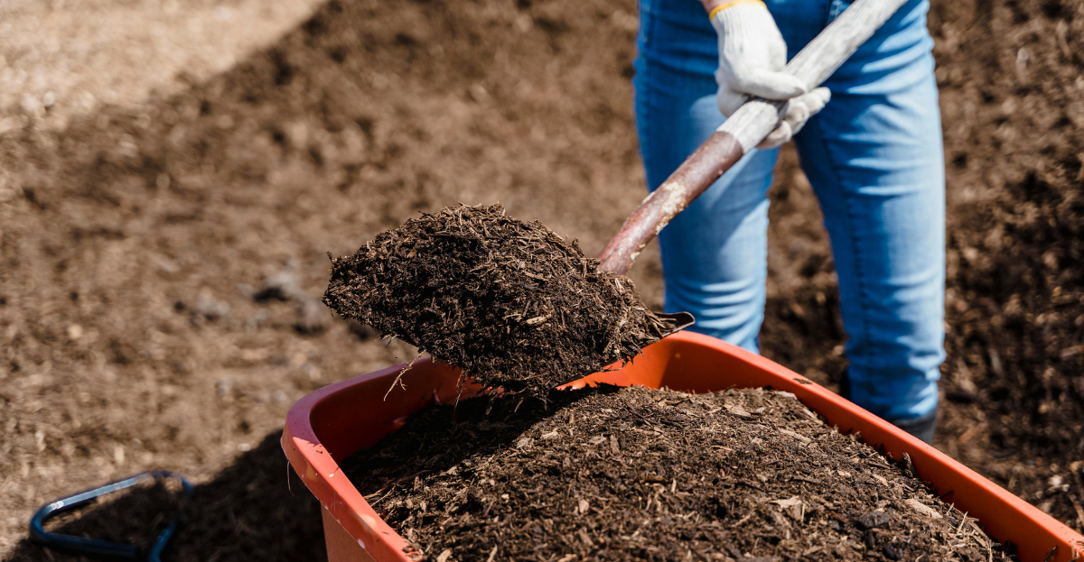 Mulch